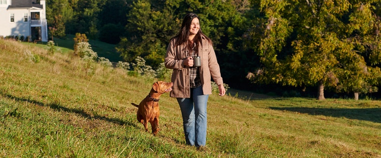 Tips for Managing the Stress of the Holiday Season With Your Pet 