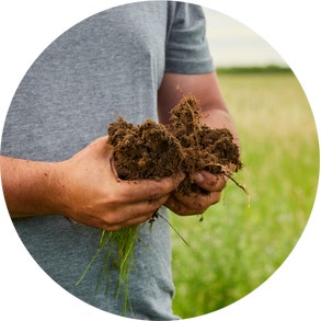 a farmer holding a pile of brown dirt in their hands in a field