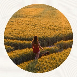 a woman walking through a crop field at sunrise