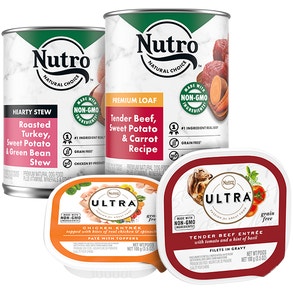 nutro wet dog food 