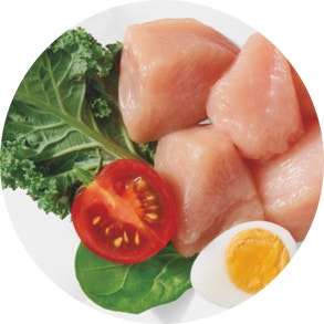 raw dog food ingredients chicken egg kale spinach