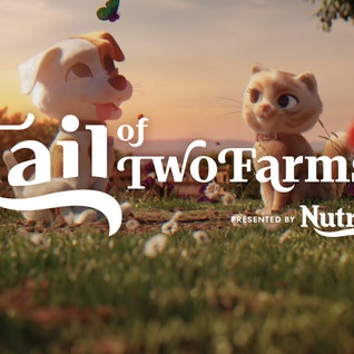 Tail of Two Farms Thumbnail