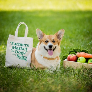 farmers market powered by nutro tote bag corgi and vegetables in field