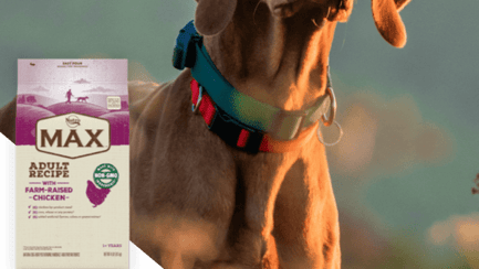 Dog Food Cat Food Pet Treats NUTRO