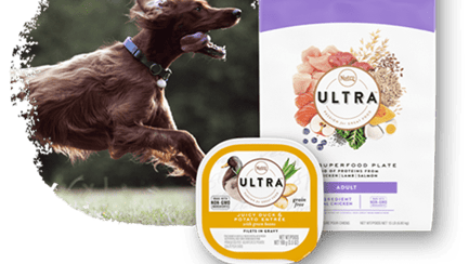 Terra ultra dog food top