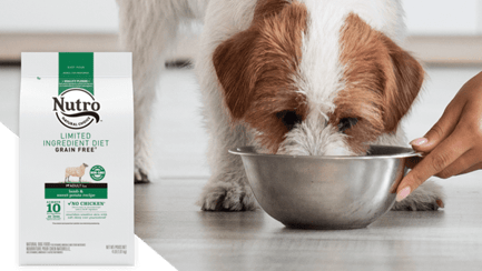 Publix nutro shop dog food