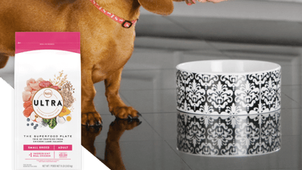 Ultra max dog food sale