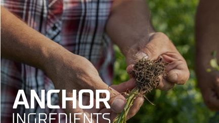 anchor ingredients logo farmer inspecting root ball