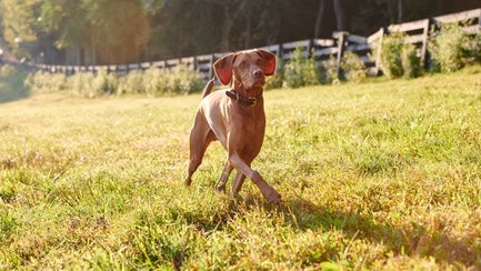 name_120fd0a8f88ac034bafb4d05de60ee970d84f3b6