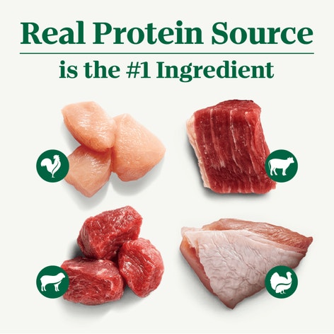 Adult Beef, Lamb, Chicken, and Turkey Variety Pack image 1