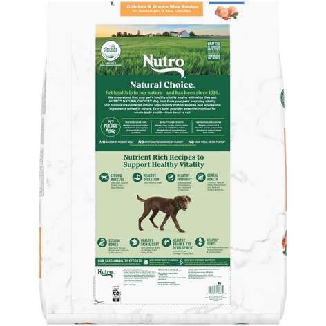 Large Breed Puppy Farm-Raised Chicken & Brown Rice Recipe image 1