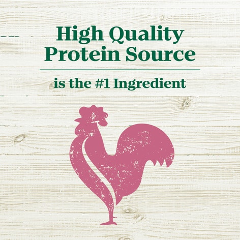 Nutro Max Minichunks Chicken image 1