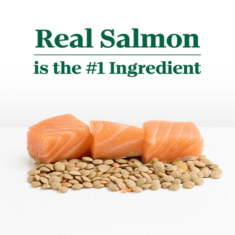 Adult Salmon & Lentils Recipe image 1