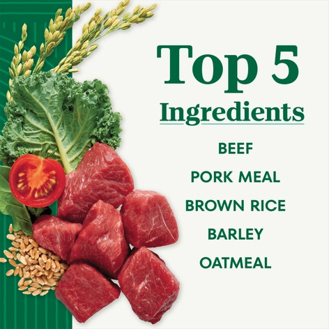 Adult Beef & Brown Rice image 1