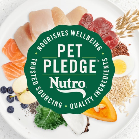 Puppy, The Superfood Plate with a Trio of Proteins from Chicken, Lamb and Salmon image 1