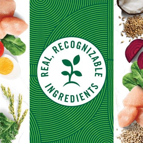 Slow Cooked Chicken Recipe image 1