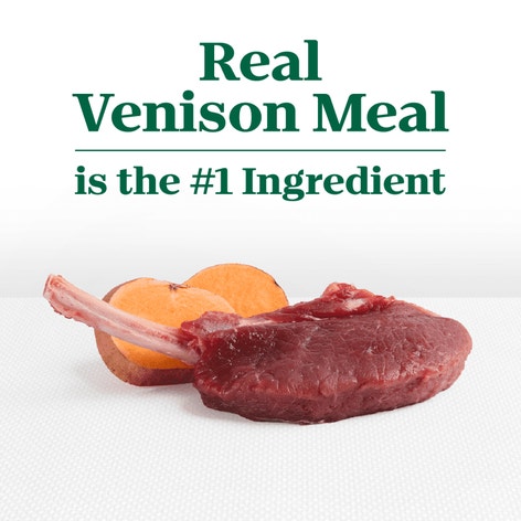 Adult Venison Meal & Sweet Potato Recipe image 1