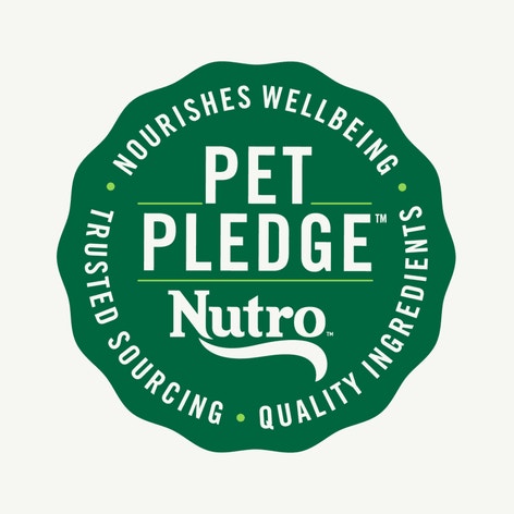 Nutro Perfect Portions Wet Cat Food Pate Salmon & Chicken Variety Pack image 1