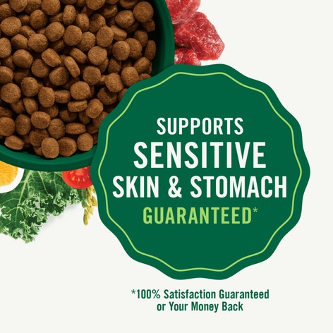 Natural Choice Large Breed Senior Dog Food, Chicken & Brown Rice image 1