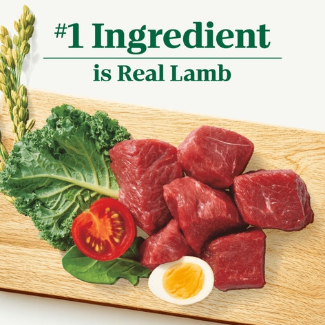 Natural Choice Senior Dog Food, Lamb & Brown Rice image 1