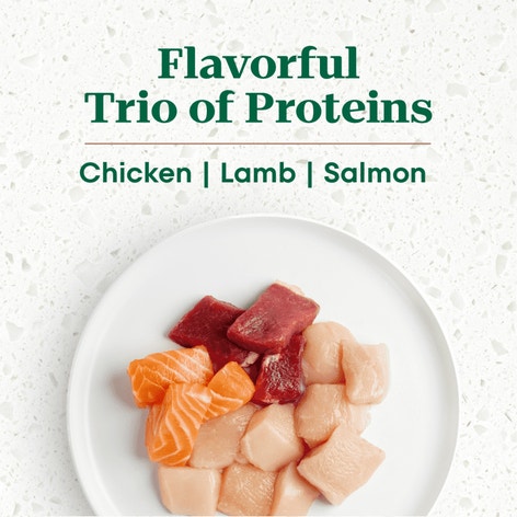 Large Breed Puppy, The Superfood Plate with a Trio of Proteins from Chicken, Lamb and Salmon image 1
