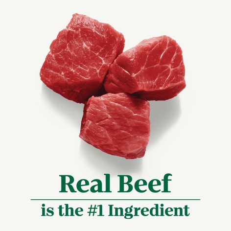 Adult Beef & Brown Rice Recipe image 1