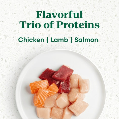 The Adult Superfood Plate with a Trio of Proteins from Chicken, Lamb and Salmon image 1