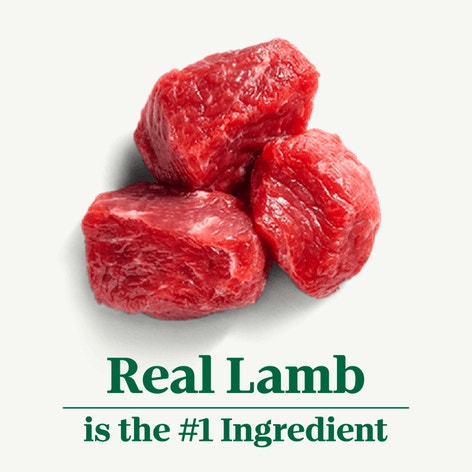 Adult Healthy Weight Lamb & Brown Rice Recipe image 1