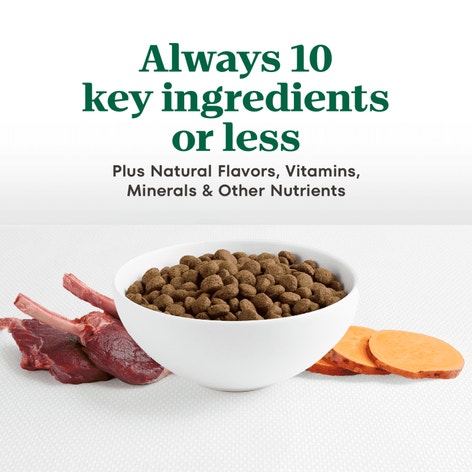 Adult Venison Meal & Sweet Potato Recipe image 1