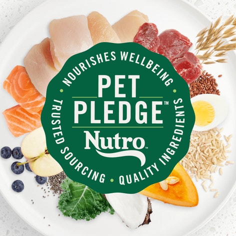 Puppy, The Superfood Plate with a Trio of Proteins from Chicken, Lamb and Salmon image 1