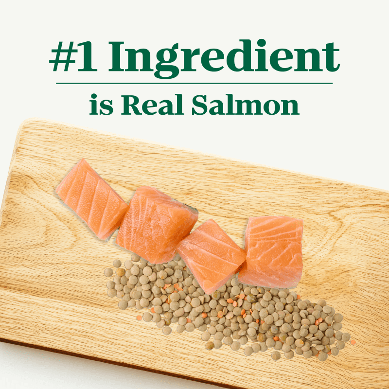 Adult Salmon & Lentils Recipe image 1