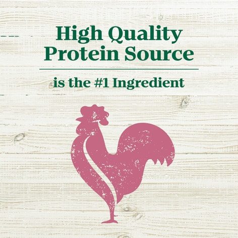 Nutro Max Minichunks Chicken image 1