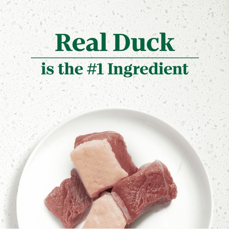 Signature Duck Entrée With Spring Vegetables and a Hint of Basil Filets in Gravy image 1