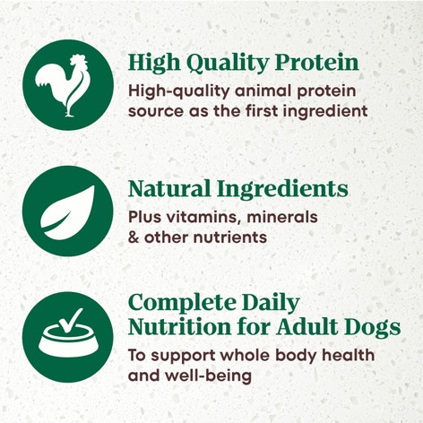 Signature Duck Entrée With Spring Vegetables and a Hint of Basil Filets in Gravy image 1