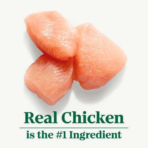 Adult Small Bites Farm-Raised Chicken & Brown Rice Recipe image 1