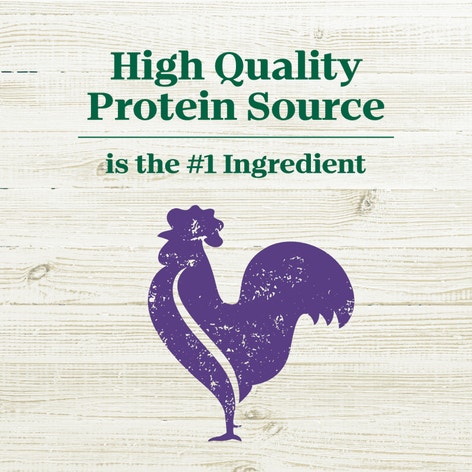 Nutro Max Large Breed Adult Chicken image 1