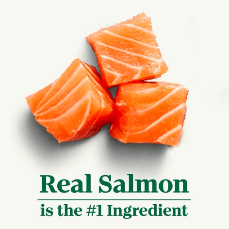 Small Bites Adult Salmon & Brown Rice Recipe image 1