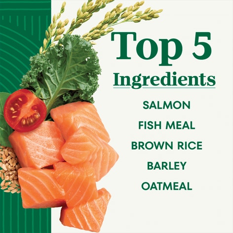 Natural Choice Adult Large Breed Dog Food Dry, Salmon & Brown Rice image 1