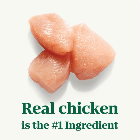 Puppy Tender Chicken, Sweet Potato & Pea Recipe Bites in Gravy image 1