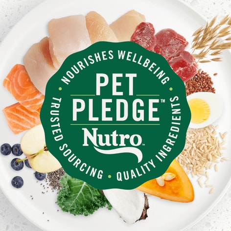 The Adult Superfood Plate with a Trio of Proteins from Chicken, Lamb and Salmon image 1