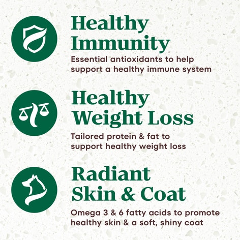 Small Breed, Weight Management, The Superfood Plate with a Trio of Proteins from Chicken, Lamb and Salmon image 1