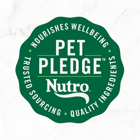 Nutro So Simple Wet Dog Chicken and Duck image 1