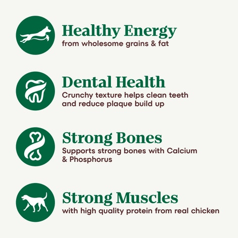 Senior Farm-Raised Chicken & Brown Rice Recipe image 1