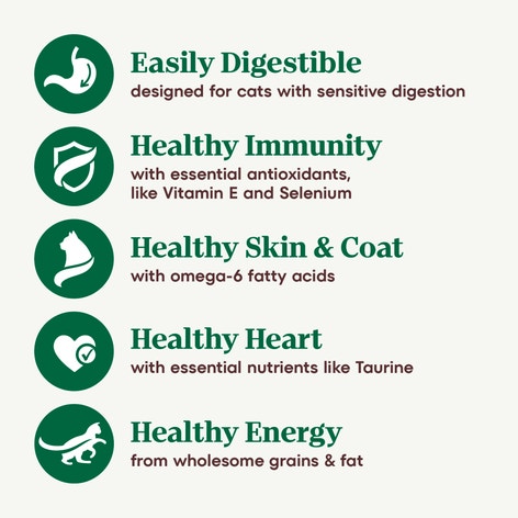 Sensitive Adult Formula with Chicken, Rice & Peas Recipe image 1