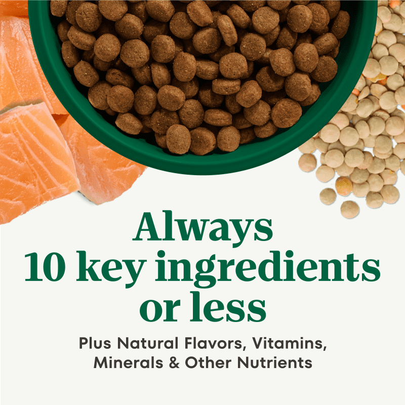 Adult Salmon & Lentils Recipe image 1