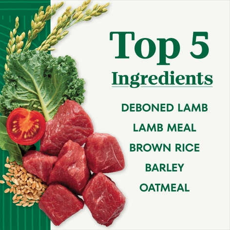 Adult Lamb & Brown Rice Recipe image 1