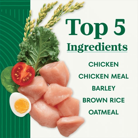 Natural Choice Large Breed Healthy Weight Dog Food, Chicken & Brown Rice image 1