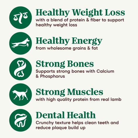 Adult Healthy Weight Lamb & Brown Rice Recipe image 1