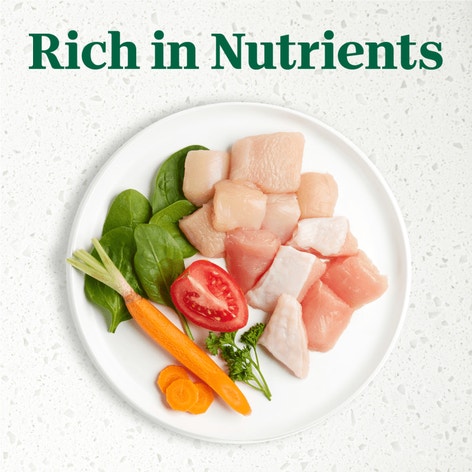 Roasted Turkey Entrée With a Mix of Carrots and Spinach Filets in Gravy image 1