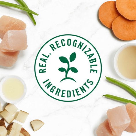 Nutro So Simple Wet Dog Chicken image 1